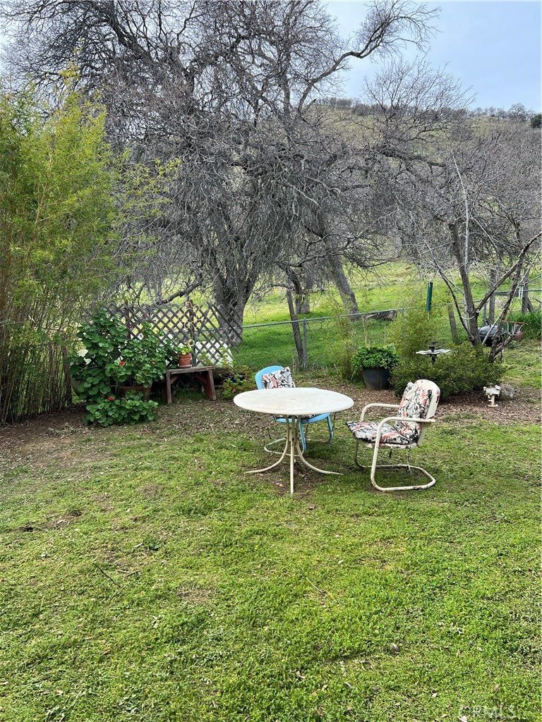 30284 Bear Mountain Property Photo 29