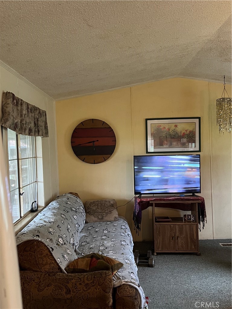 30284 Bear Mountain Property Photo 43