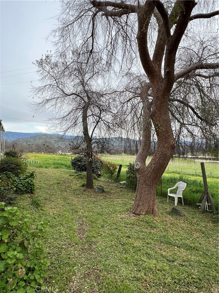 30284 Bear Mountain Property Photo 46