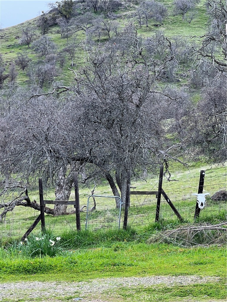 30284 Bear Mountain Property Photo 48