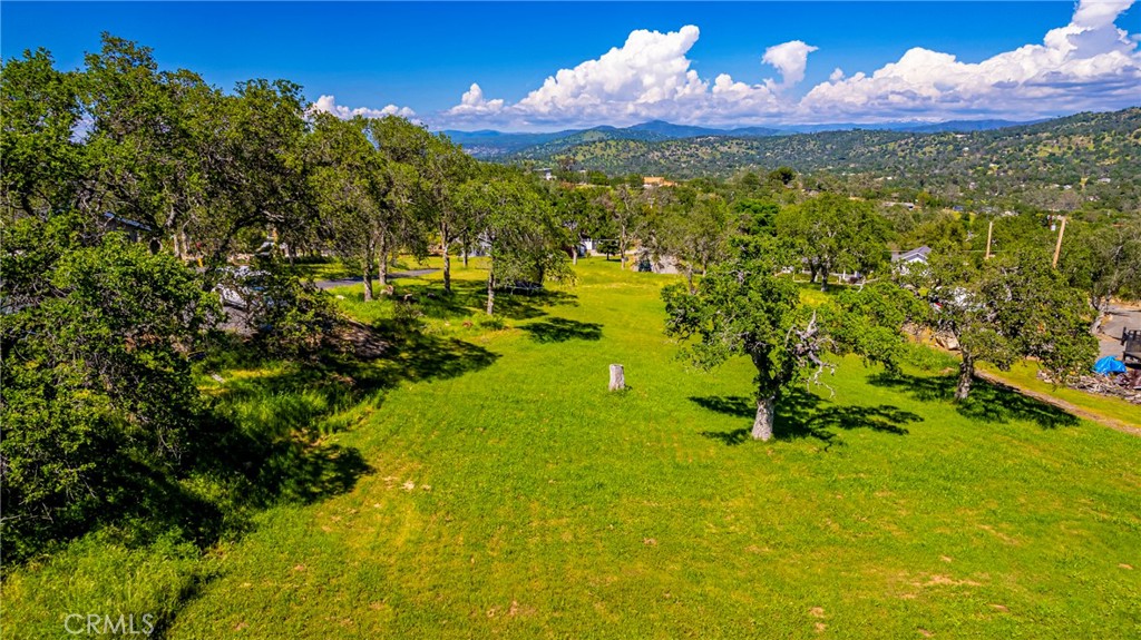 1 Horseshoe Dr Property Photo 1