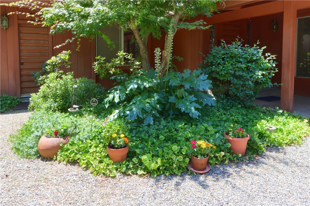 39670 Highview Property Photo 47