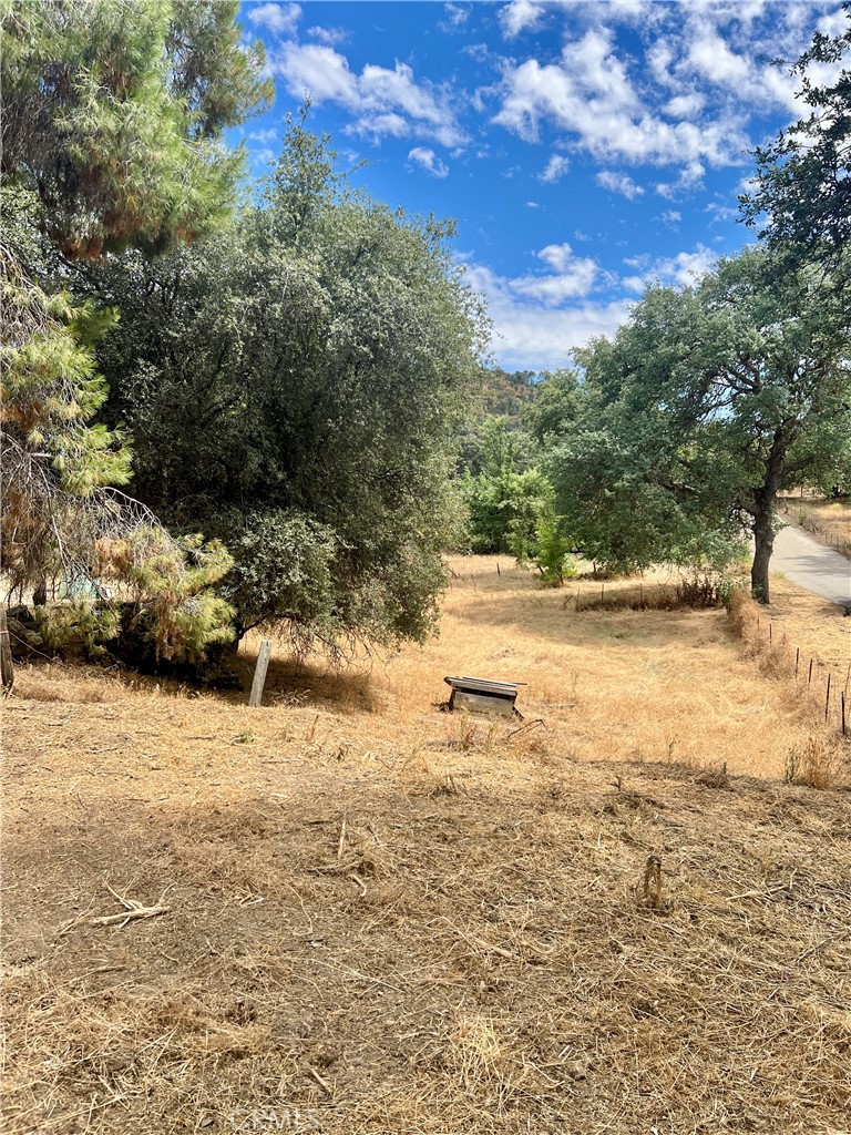 33831 Medford Property Photo 39