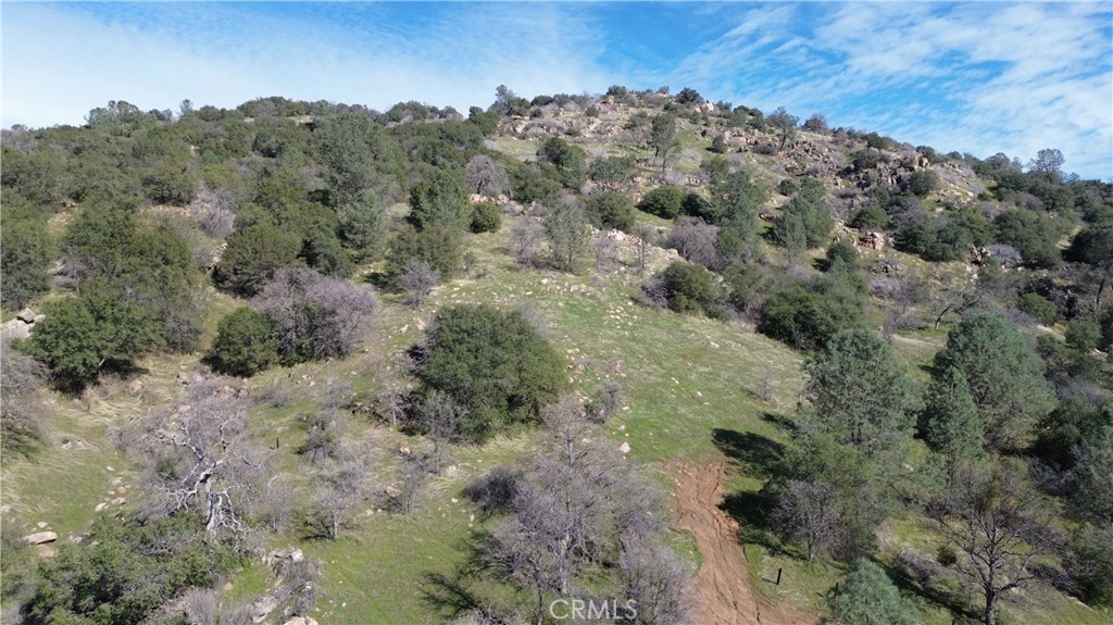 25 Buckaroo Lane Property Photo 3