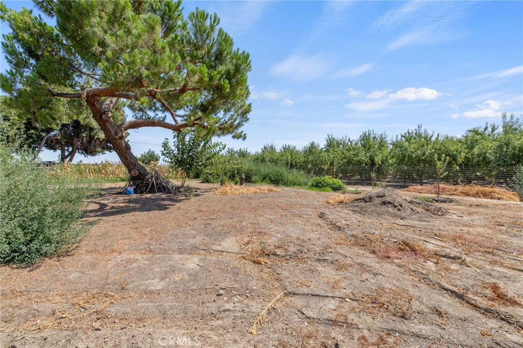 16565 Lacey Boulevard Property Photo 29