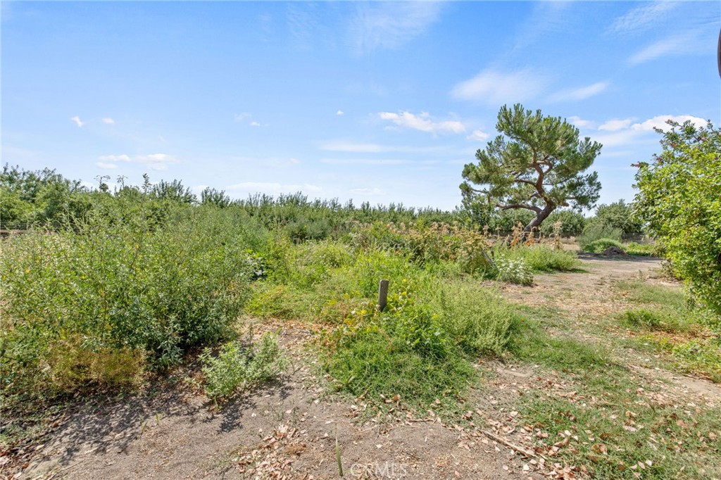 16565 Lacey Boulevard Property Photo 39
