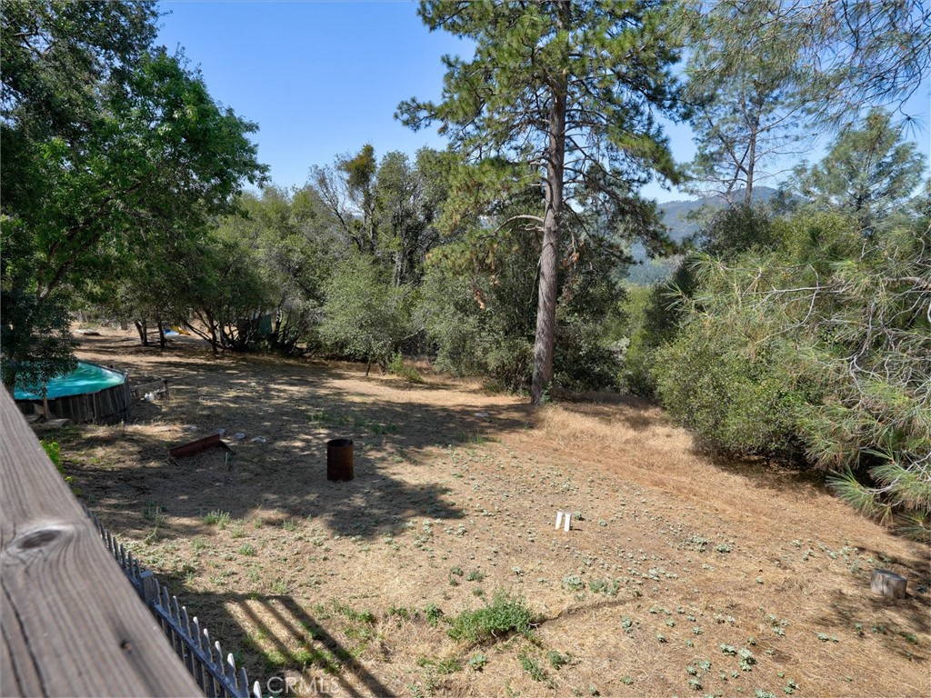 40528 Jean W Property Photo 37