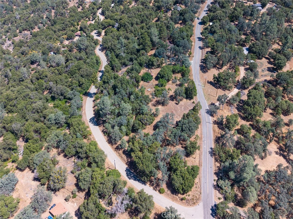 40528 Jean W Property Photo 42