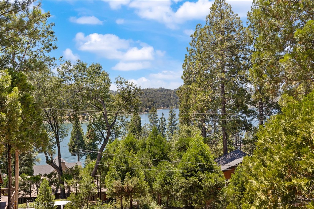 39165 Ski Slope Property Photo 4