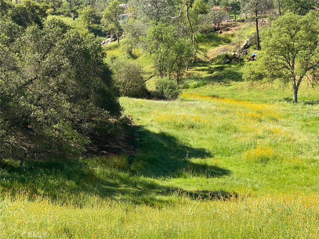 17 Titan Property Photo 5
