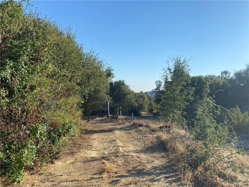 53748 Dogwood Property Photo 3