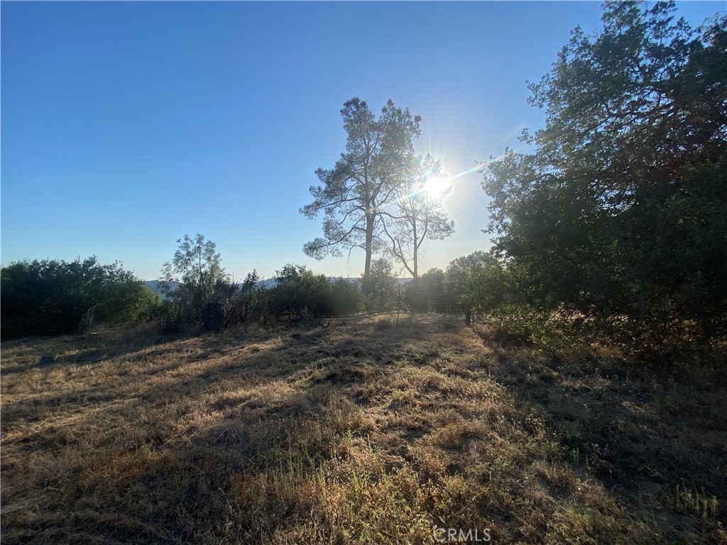 53748 Dogwood Property Photo 6