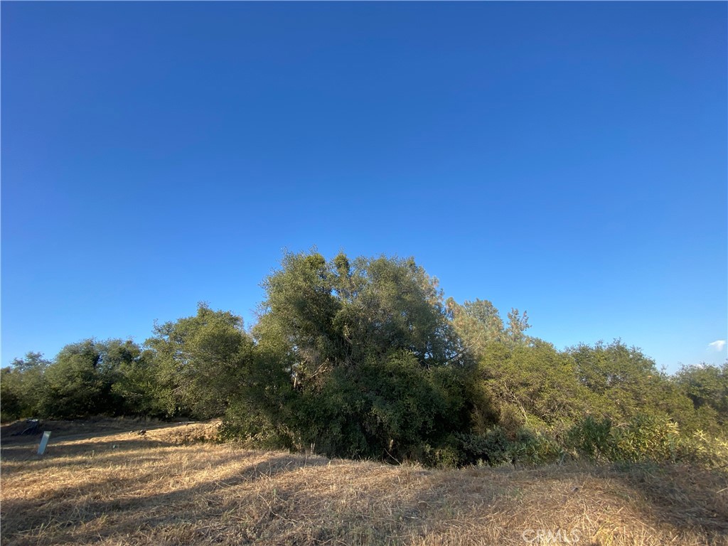 53748 Dogwood Property Photo 8