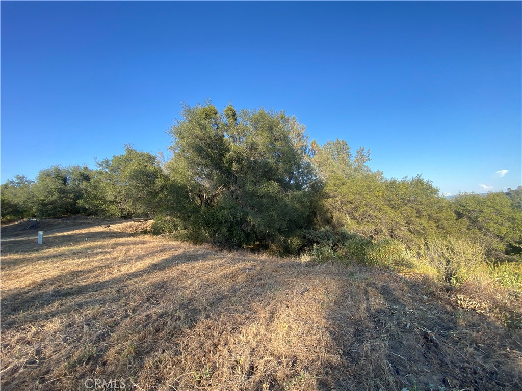 53748 Dogwood Property Photo 9
