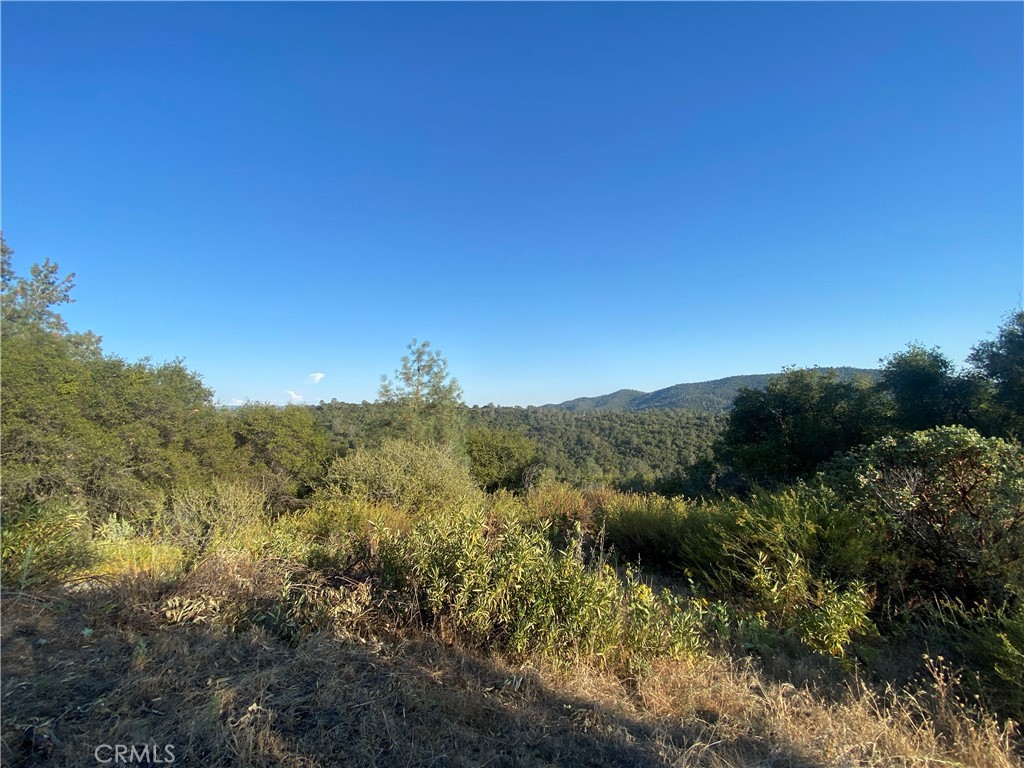 53748 Dogwood Property Photo 10