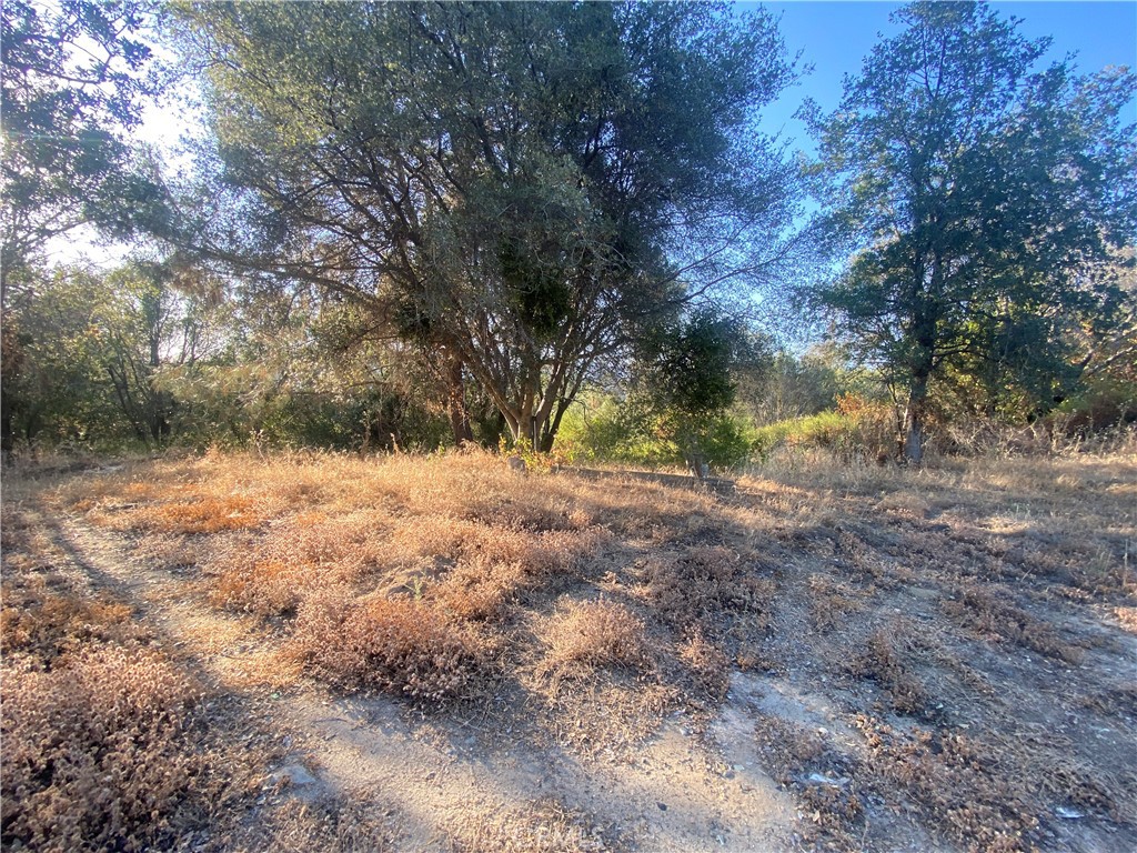 53748 Dogwood Property Photo 11