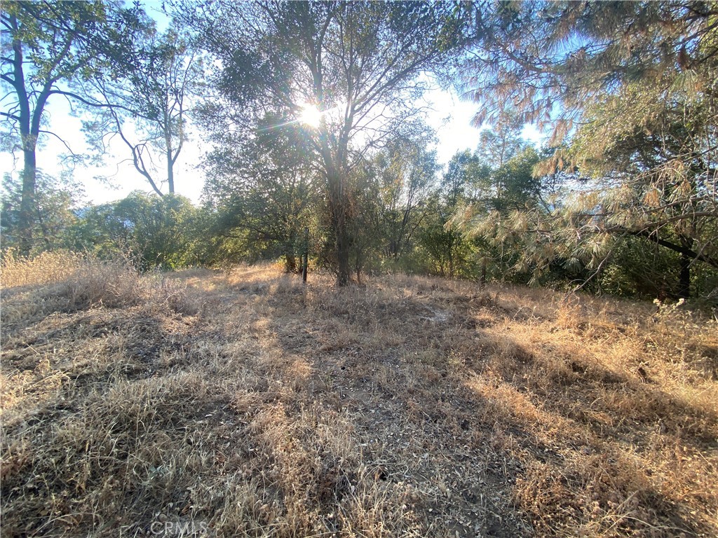 53748 Dogwood Property Photo 13