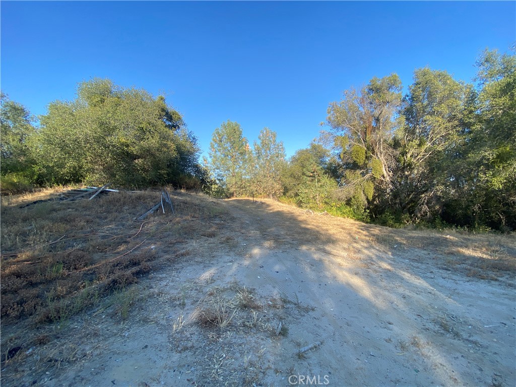 53748 Dogwood Property Photo 14