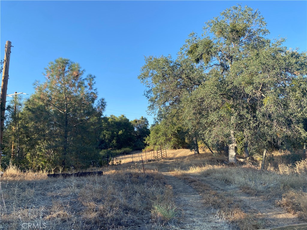53748 Dogwood Property Photo 15
