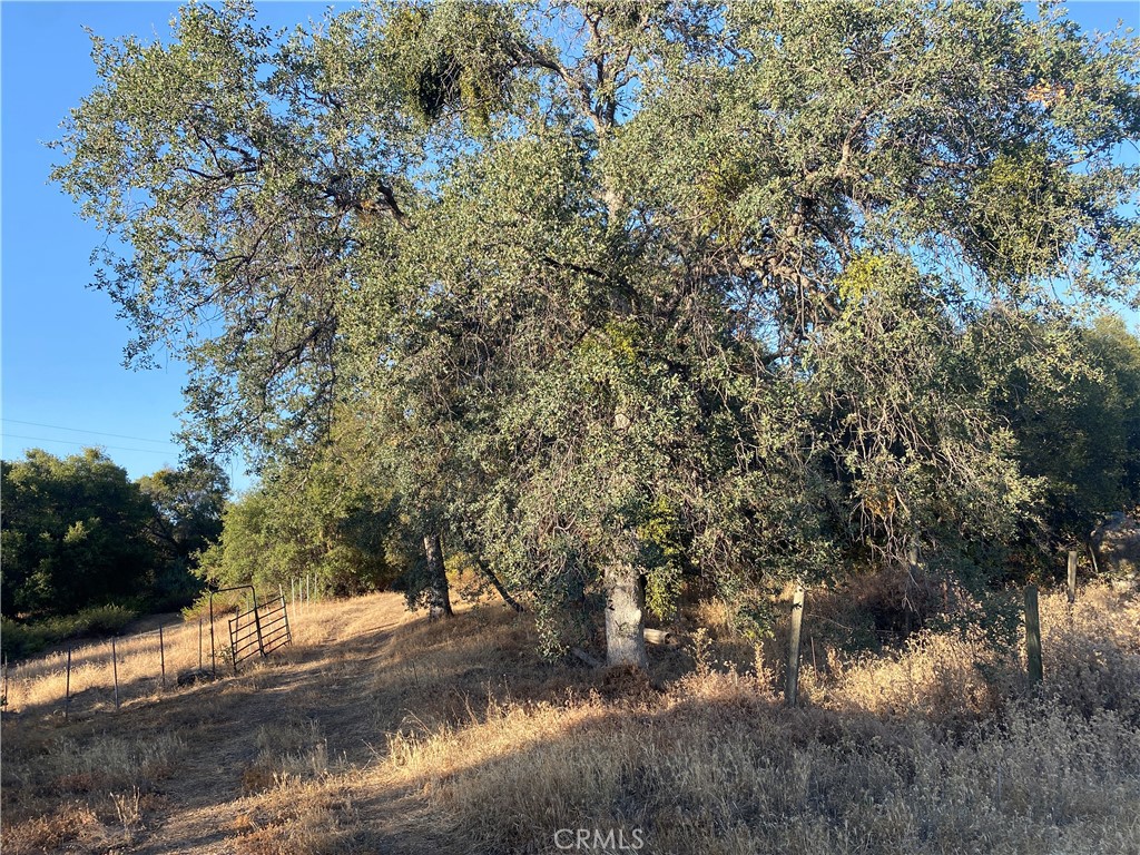 53748 Dogwood Property Photo 16