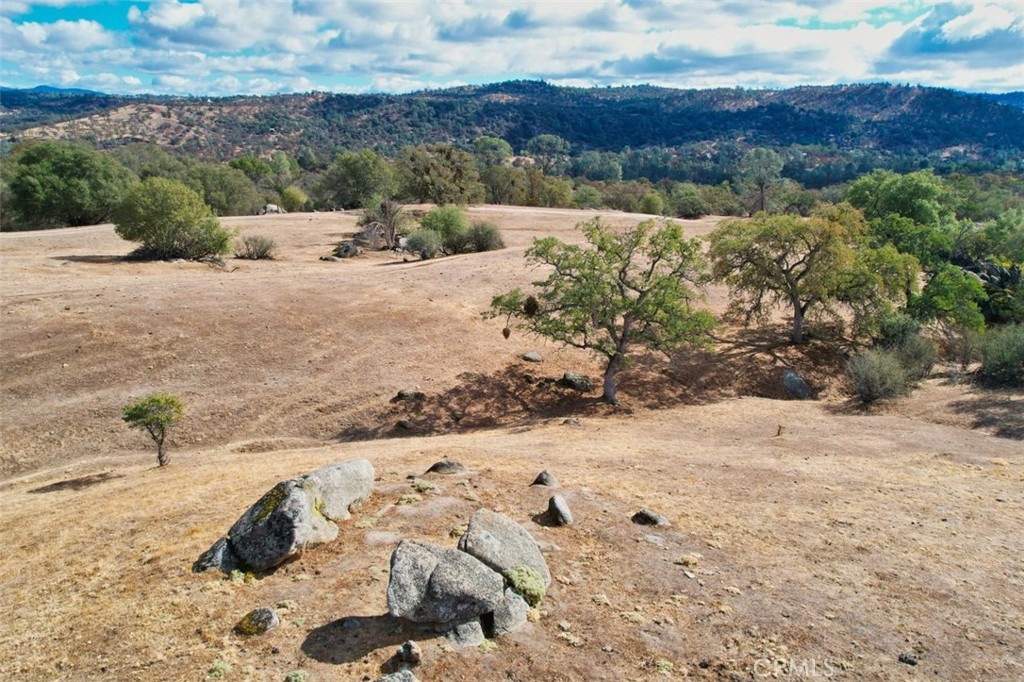 0 193 Ac River Knolls Property Photo 3