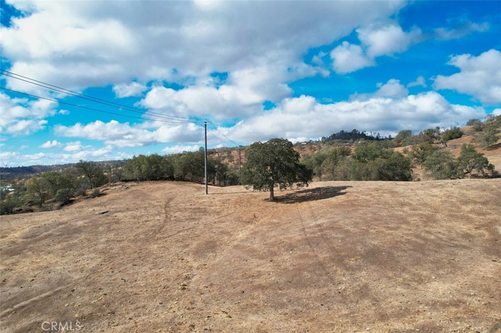 0 193 Ac River Knolls Property Photo 8