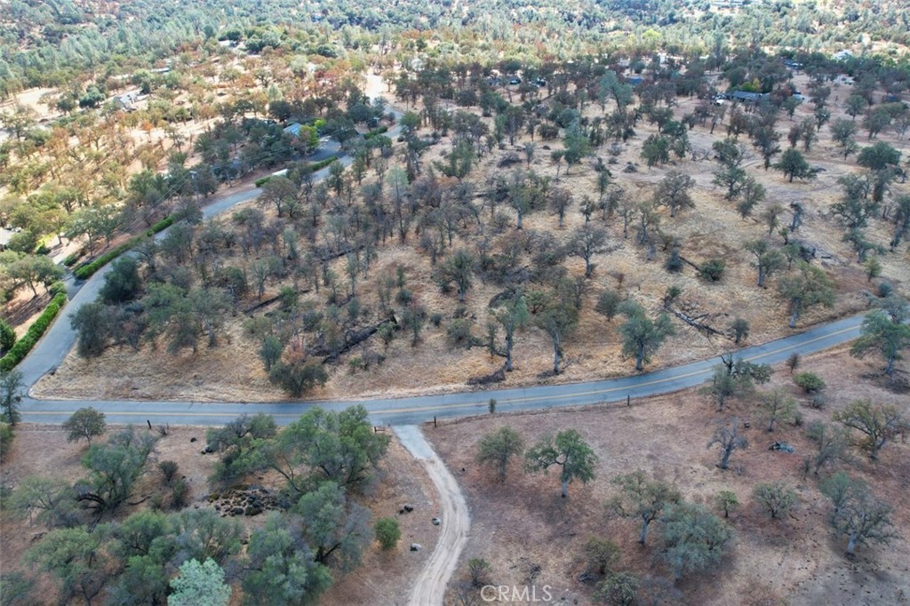 0 193 Ac River Knolls Property Photo 11