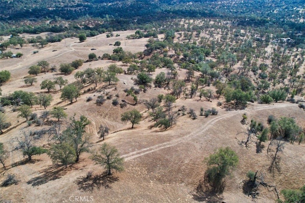 0 193 Ac River Knolls Property Photo 12