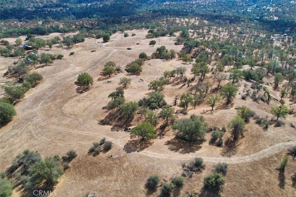 0 193 Ac River Knolls Property Photo 13