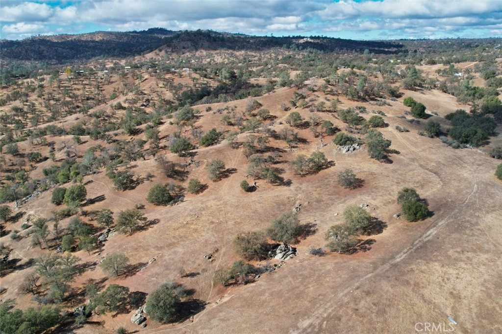 0 193 Ac River Knolls Property Photo 14