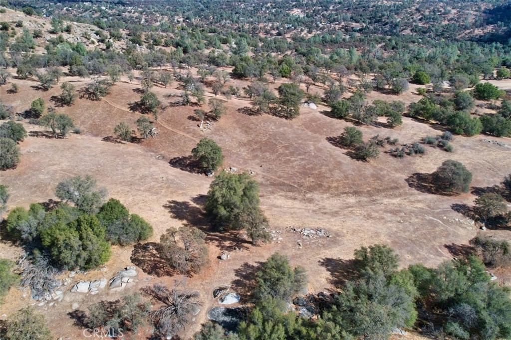0 193 Ac River Knolls Property Photo 16
