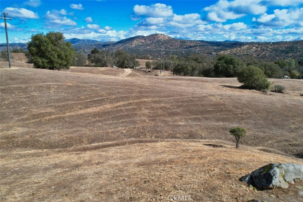 0 193 Ac River Knolls Property Photo 20