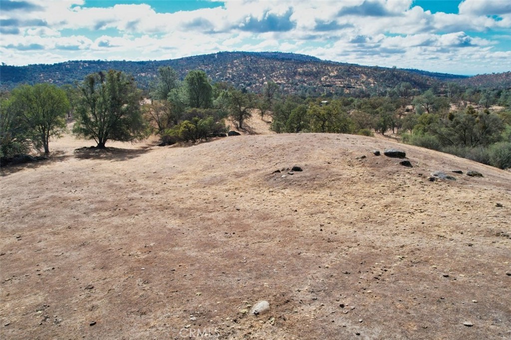 0 193 Ac River Knolls Property Photo 21