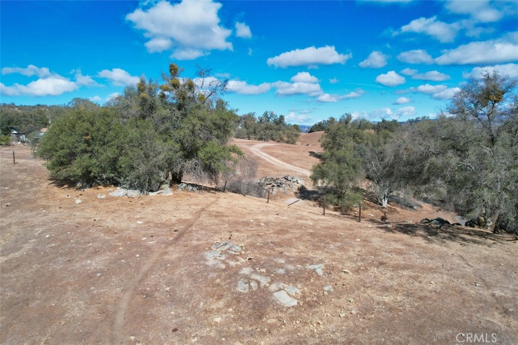 0 193 Ac River Knolls Property Photo 22