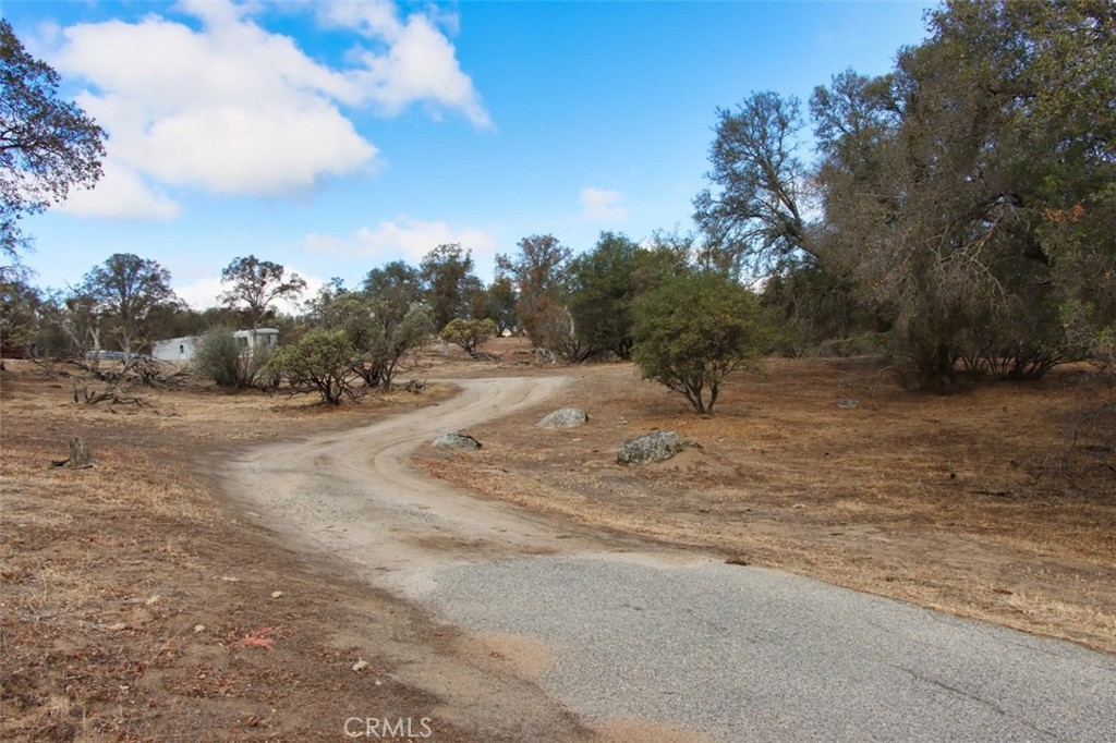 0 193 Ac River Knolls Property Photo 23