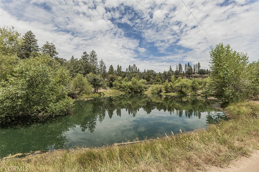34133 Natoma Property Photo 60