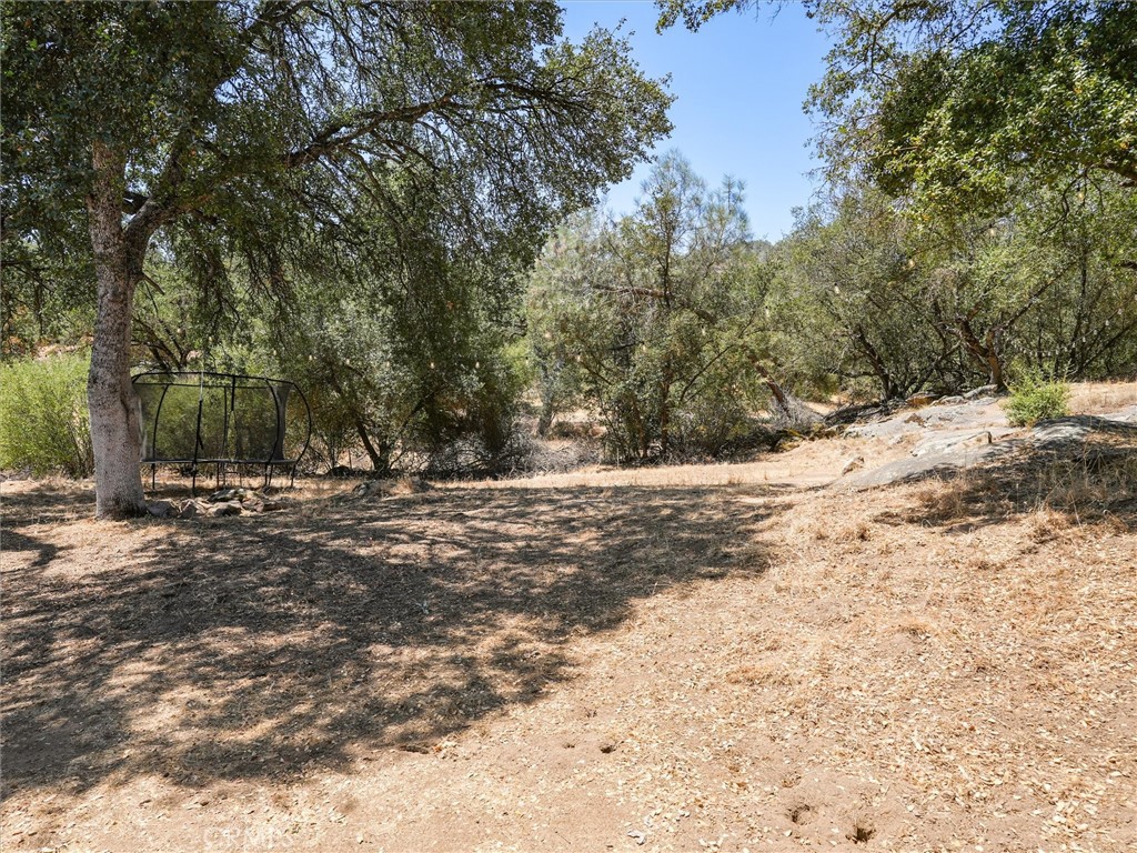30212 N Dome Drive Property Photo 41