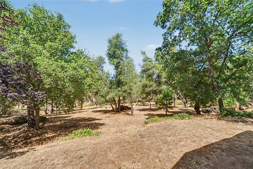 5627 Buckskin Road Property Photo 18