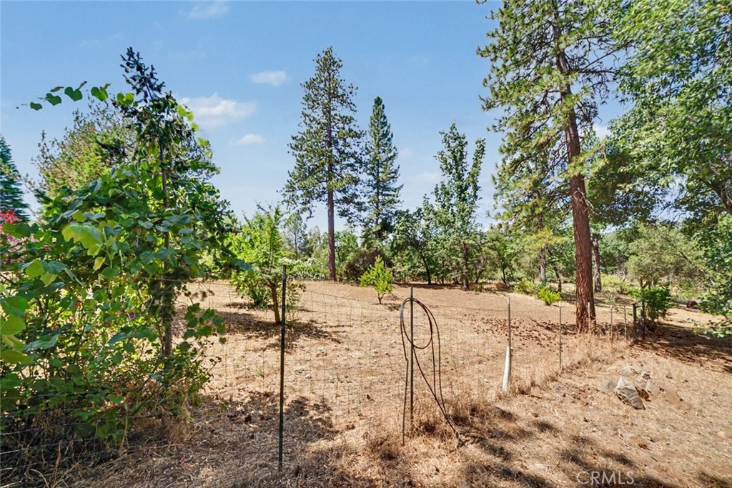 5627 Buckskin Road Property Photo 20