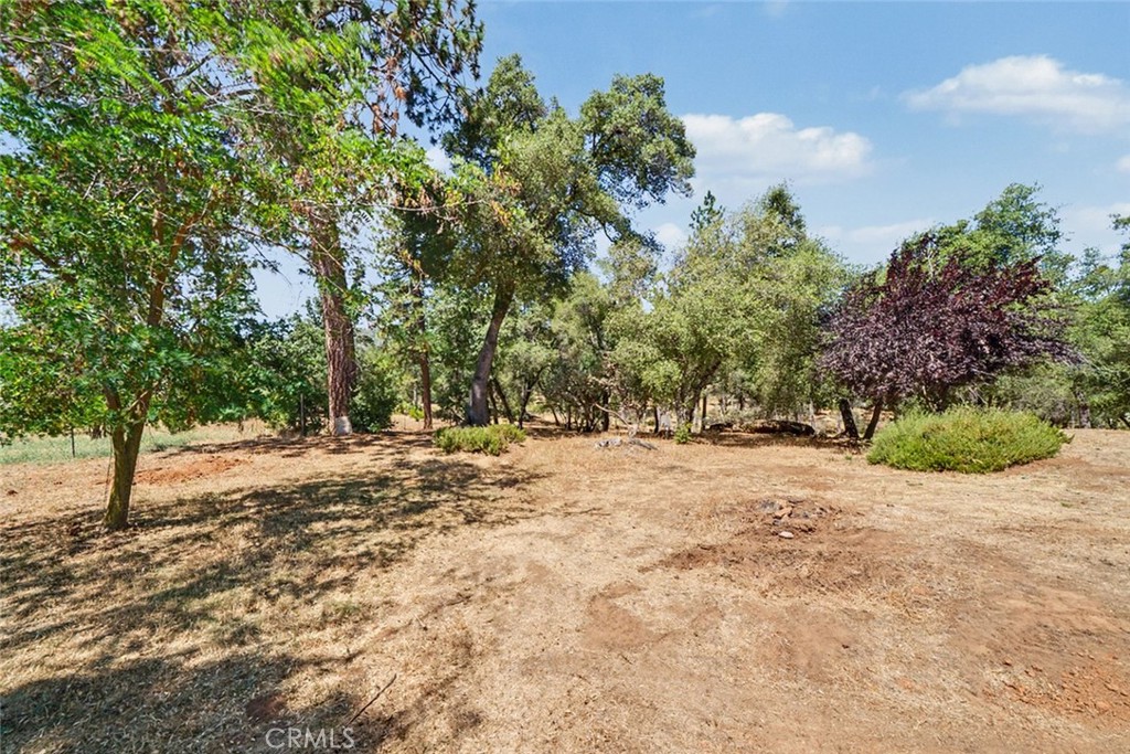 5627 Buckskin Road Property Photo 21