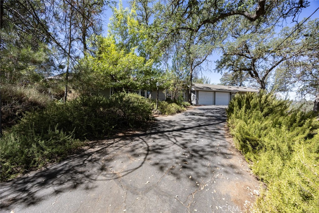 30770 Revis Property Photo 6