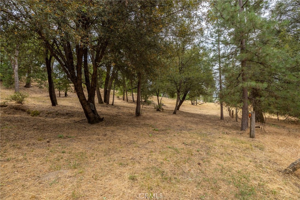 5655 Harris Cut Off Property Photo 49