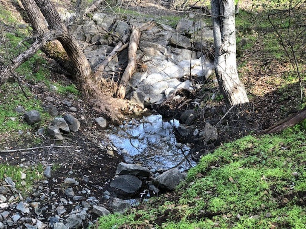 157 Acres Mountain View Peak Road Property Photo 6