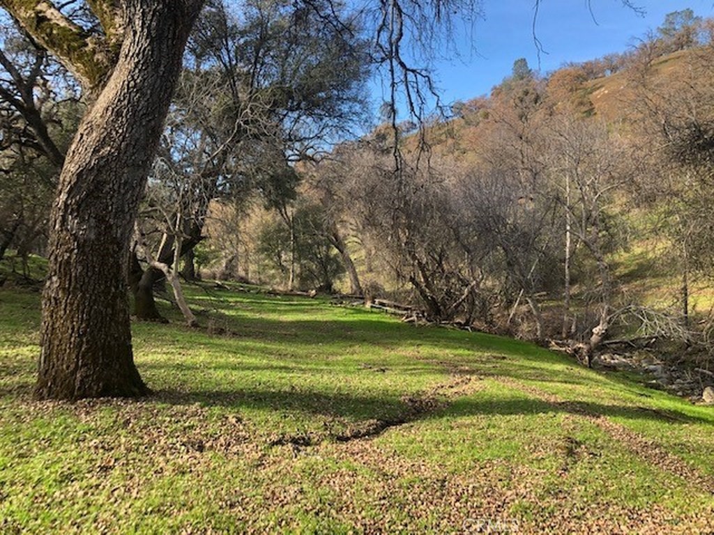 157 Acres Mountain View Peak Road Property Photo 7