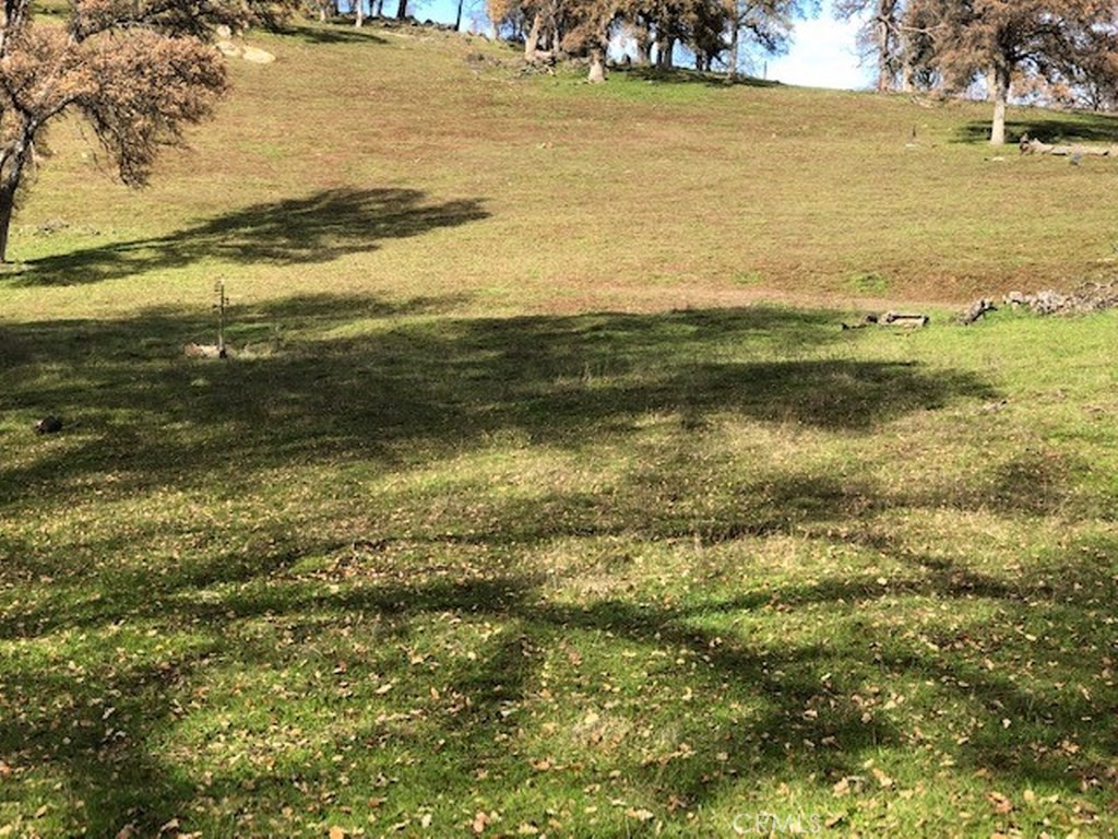 157 Acres Mountain View Peak Road Property Photo 10