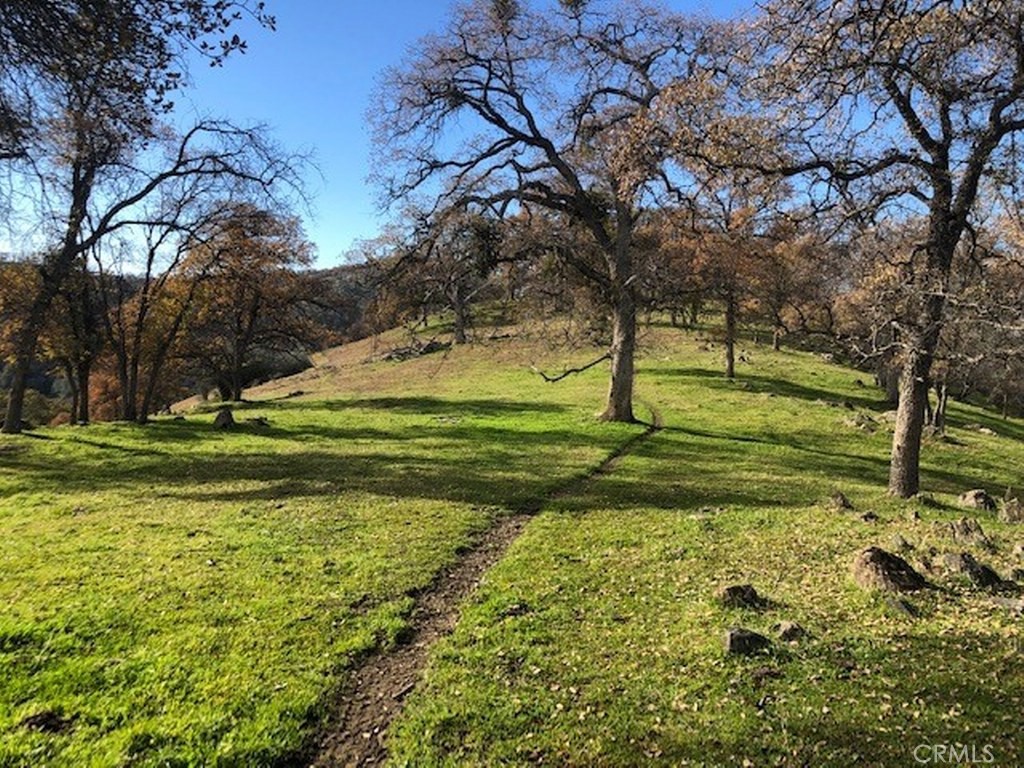 157 Acres Mountain View Peak Road Property Photo 11