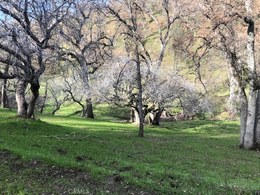 157 Acres Mountain View Peak Road Property Photo 19