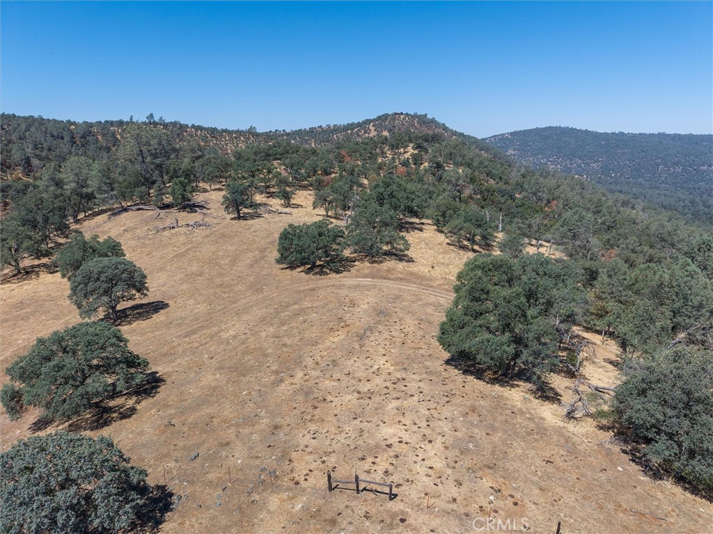 157 Acres Mountain View Peak Road Property Photo 27