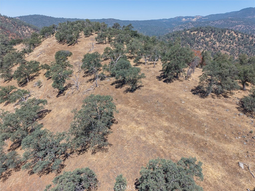 157 Acres Mountain View Peak Road Property Photo 33