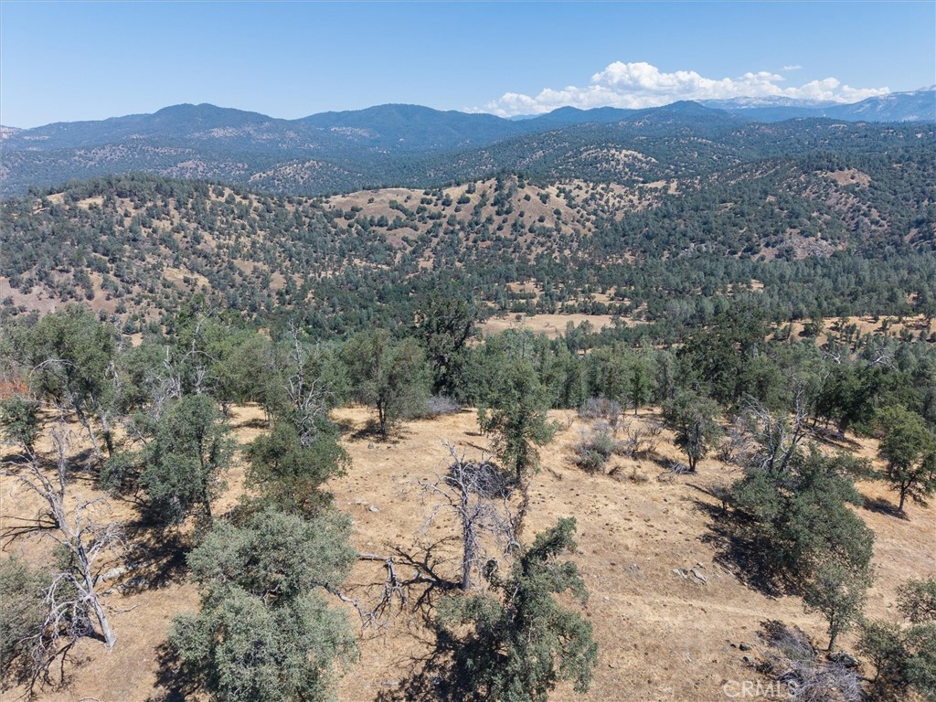 157 Acres Mountain View Peak Road Property Photo 34